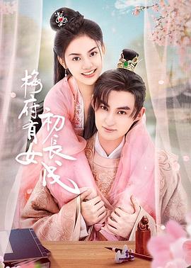 稳定的网站优化代理软件